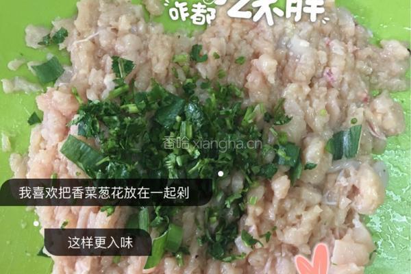 鸡肉丸子的做法图解4