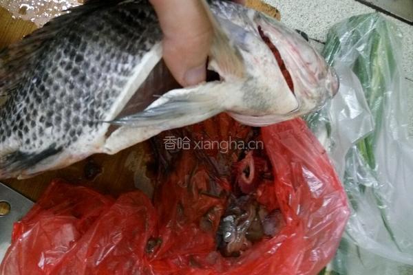 番茄鱼的做法图解1
