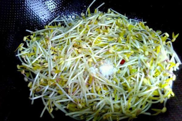 炝炒绿豆芽的做法图解5