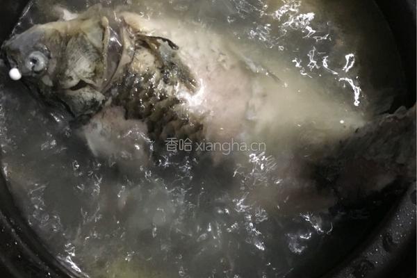 鲫鱼苦瓜豆腐汤的做法图解4