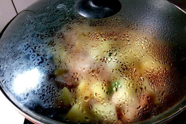  土豆红烧肉的做法图解16