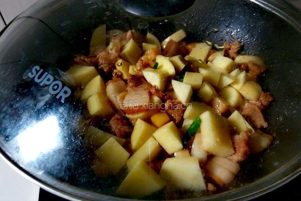  土豆红烧肉的做法图解17
