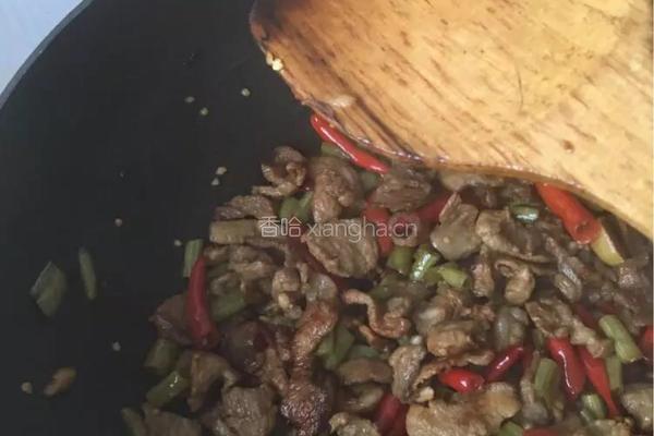 泡椒酸豆角炒肉片的做法图解10