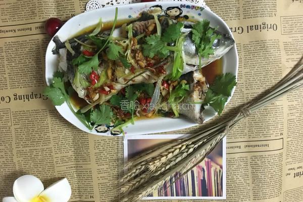清蒸草鱼的做法图解14