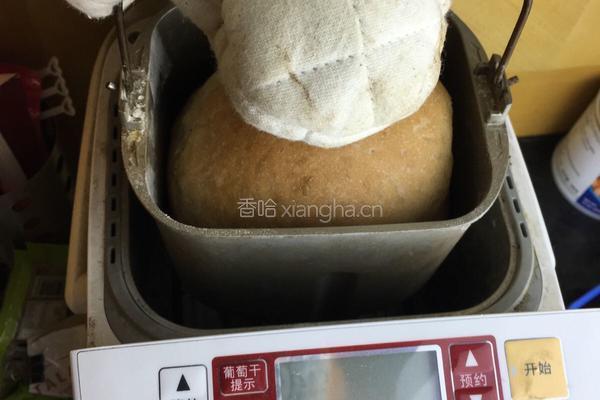 日常面包（面包机版）的做法图解3