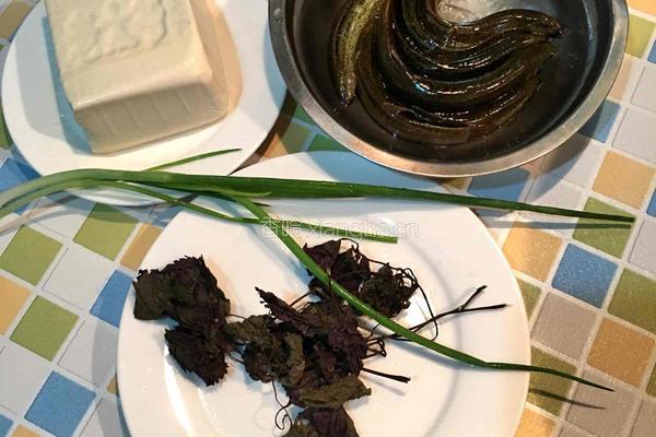 泥鳅炖豆腐的做法图解1