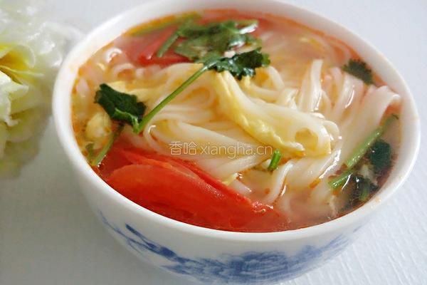 番茄鸡蛋面的做法图解12