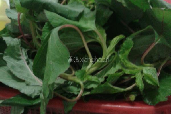 凉拌苋菜的做法图解1