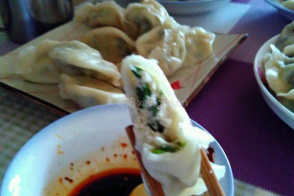 鲅鱼饺子的做法图解12