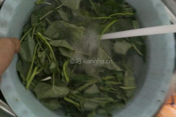 清炒红薯尖的做法图解2