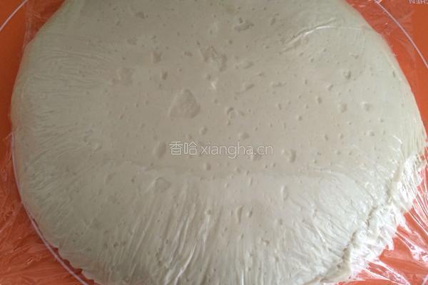 大白菜猪肉包的做法图解5