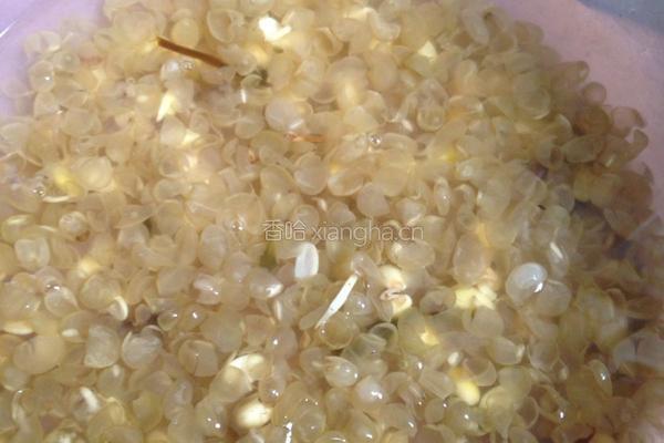 炒黄豆芽的做法图解2