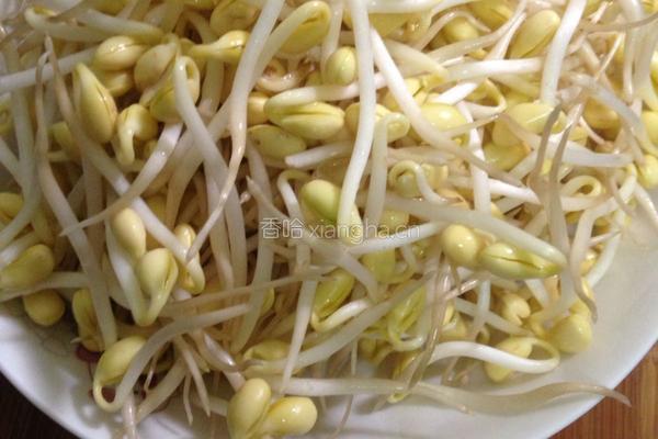 炒黄豆芽的做法图解3