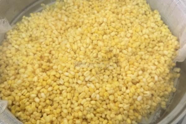 绿豆冰糕四种口味的做法图解2