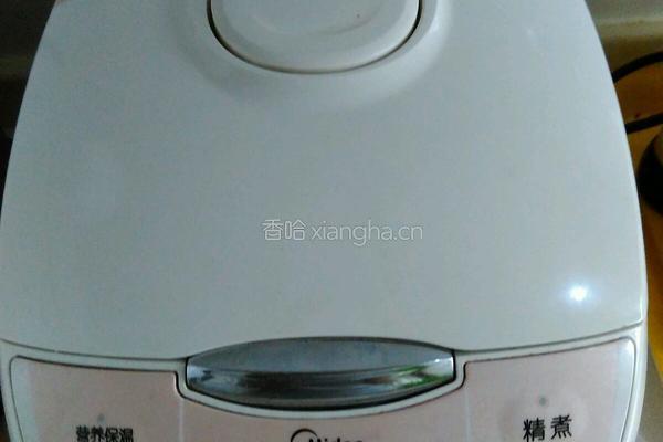 绿豆银耳汤的做法图解3