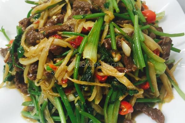 仔姜炒黄牛肉丝的做法图解10