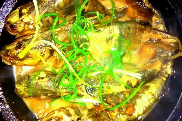 黄刺鱼焖豆腐的做法图解7