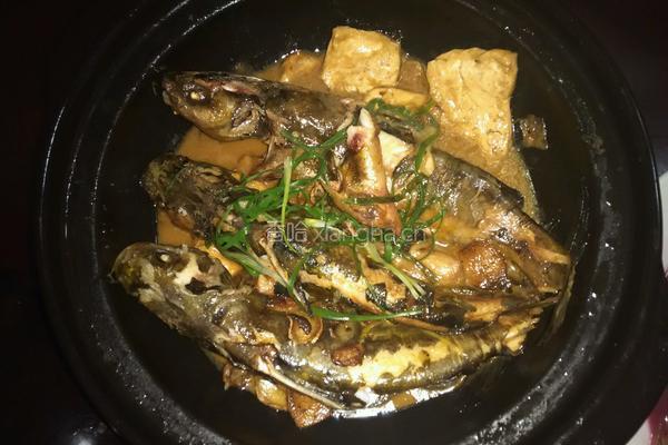 黄刺鱼焖豆腐的做法图解6