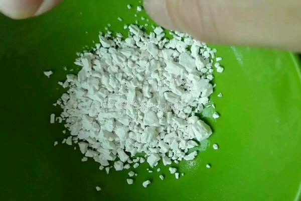胡萝卜瘦肉粥的做法图解3