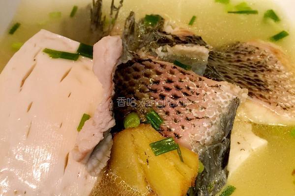 Nick私厨出品《黑鱼豆腐汤》