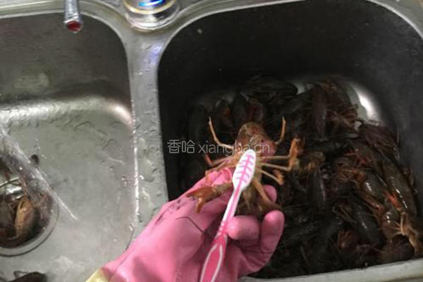 十三香小龙虾的做法图解2