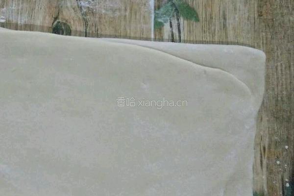 自制 老式 香甜葵花酥 (包酥)的做法图解8
