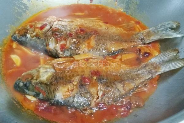 豆瓣鲫鱼的做法图解6