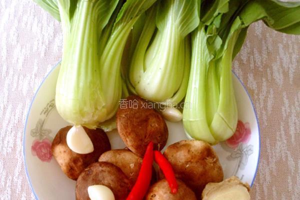 香菇油菜的做法图解1