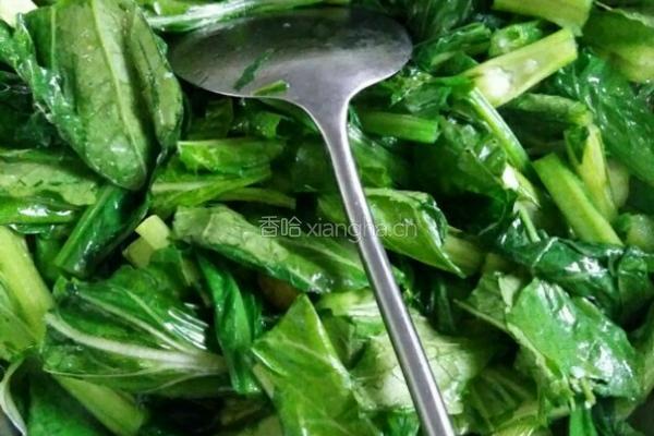 春菜煲排骨的做法图解5