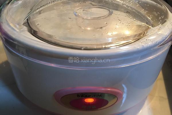 自制酸奶的做法图解9