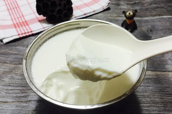 自制酸奶的做法图解10