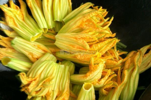 炒南瓜花的做法图解6