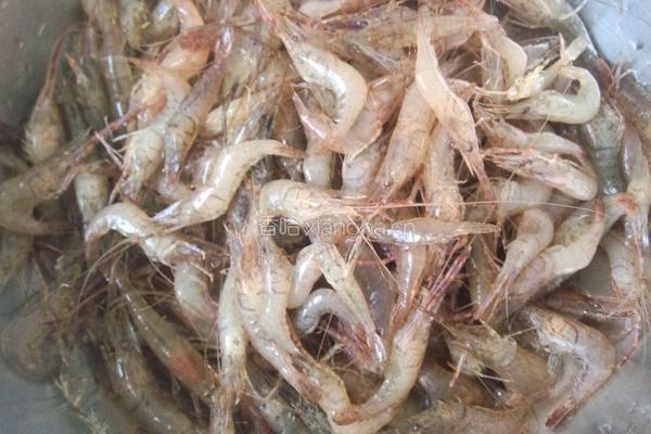 水煮河虾的做法图解1