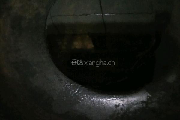 香菇小白菜的做法图解3