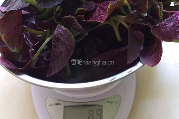 苋菜拌饭的做法图解2