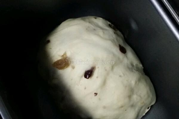 可爱的葡萄干蔓越莓软欧的做法图解4