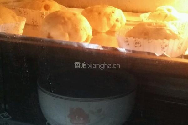 可爱的葡萄干蔓越莓软欧的做法图解7