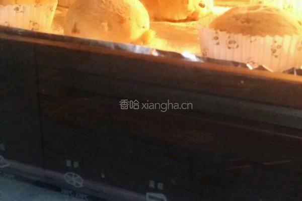 可爱的葡萄干蔓越莓软欧的做法图解9