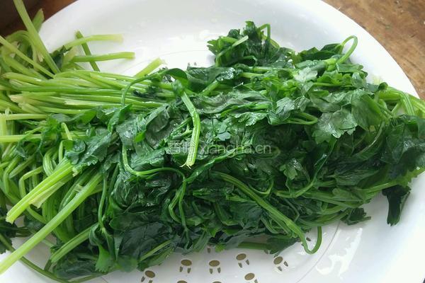 毛芹菜馅饺子的做法图解7