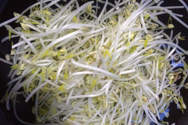 水煮肉片的做法图解6