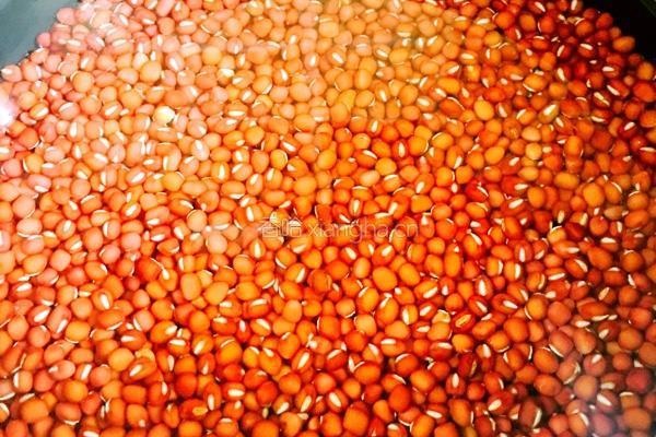 红豆沙的做法图解1