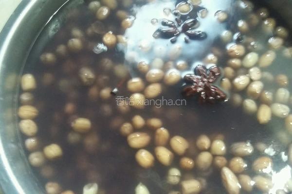盐水花生米的做法图解3