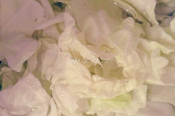耗油圆白菜的做法图解1