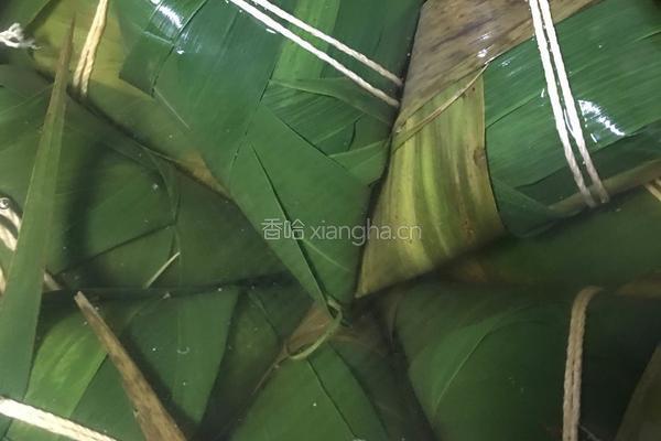蛋黄鲜肉粽的做法图解13