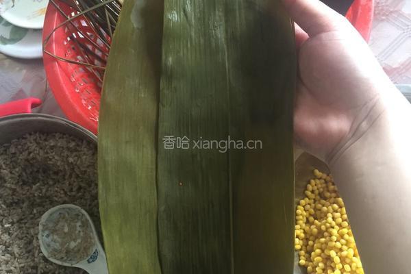 五香绿豆瘦肉粽的做法图解5