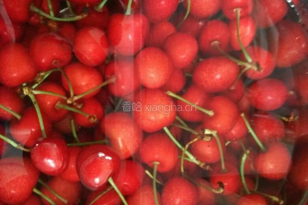 自制樱桃果酱(内含巧除樱桃核方法)的做法图解3