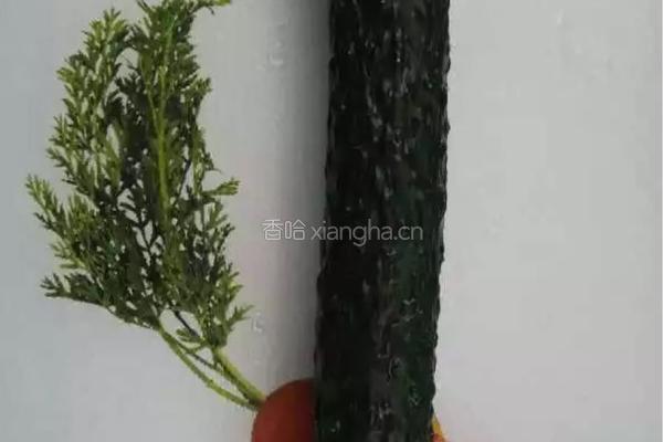 金针菇翡翠卷的做法图解2