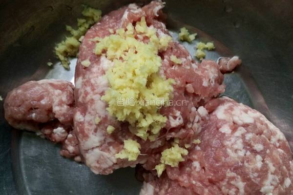 茴香肉包子的做法图解5