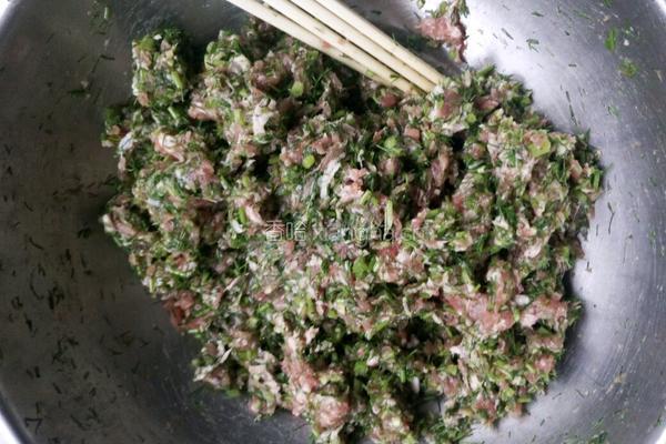 茴香肉包子的做法图解12