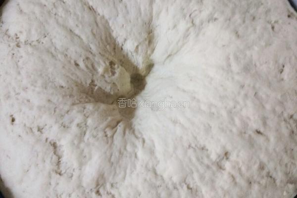 茴香肉包子的做法图解15